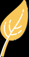 iconet2-v4